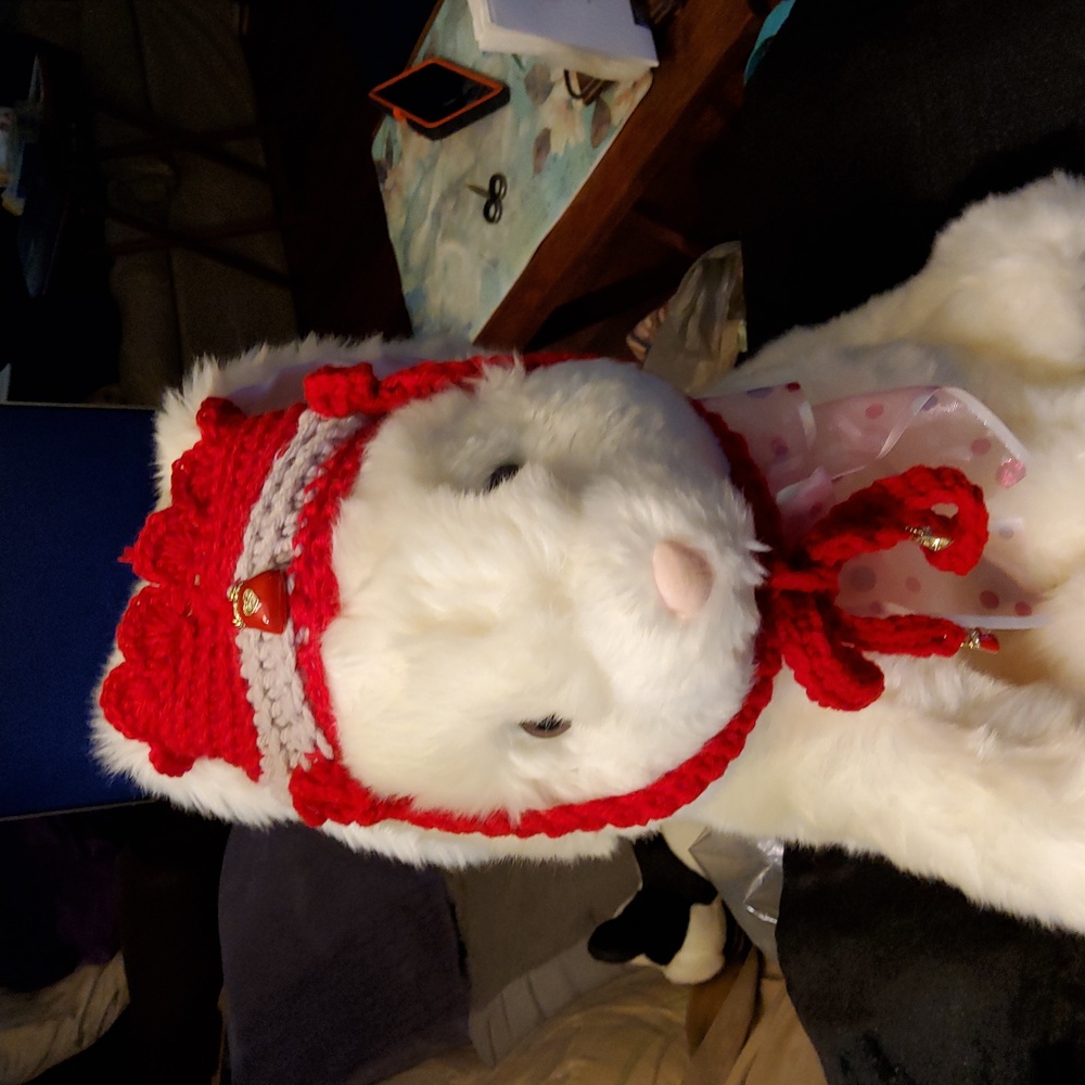 Pet Hat with Ties